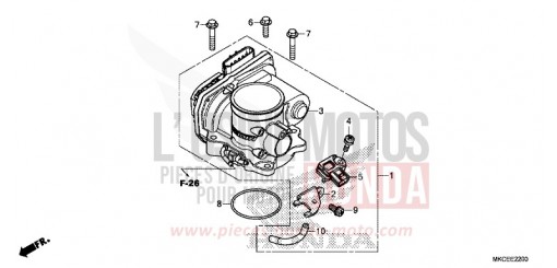 CORPS DE PAPILLON GL1800DAK de 2019
